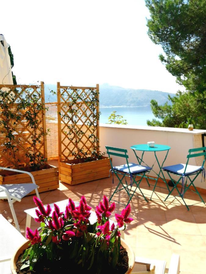 Bed and Breakfast Il Sogno Di Vincenzo E Maria à Palinuro Extérieur photo
